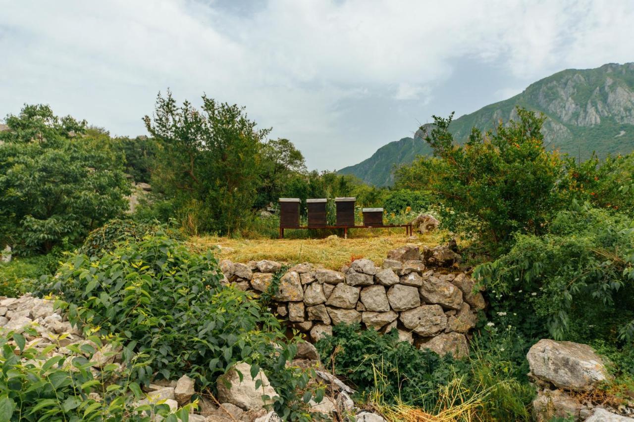 Apartments Econature Virpazar Buitenkant foto
